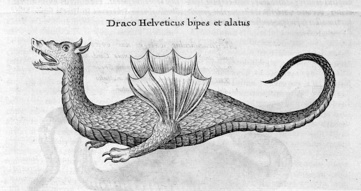 Dragon, 1678 - Athanasius Kircher