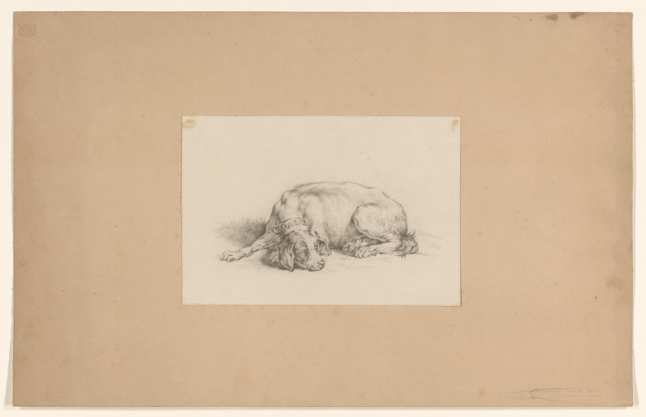 Chien couché - August Allebe