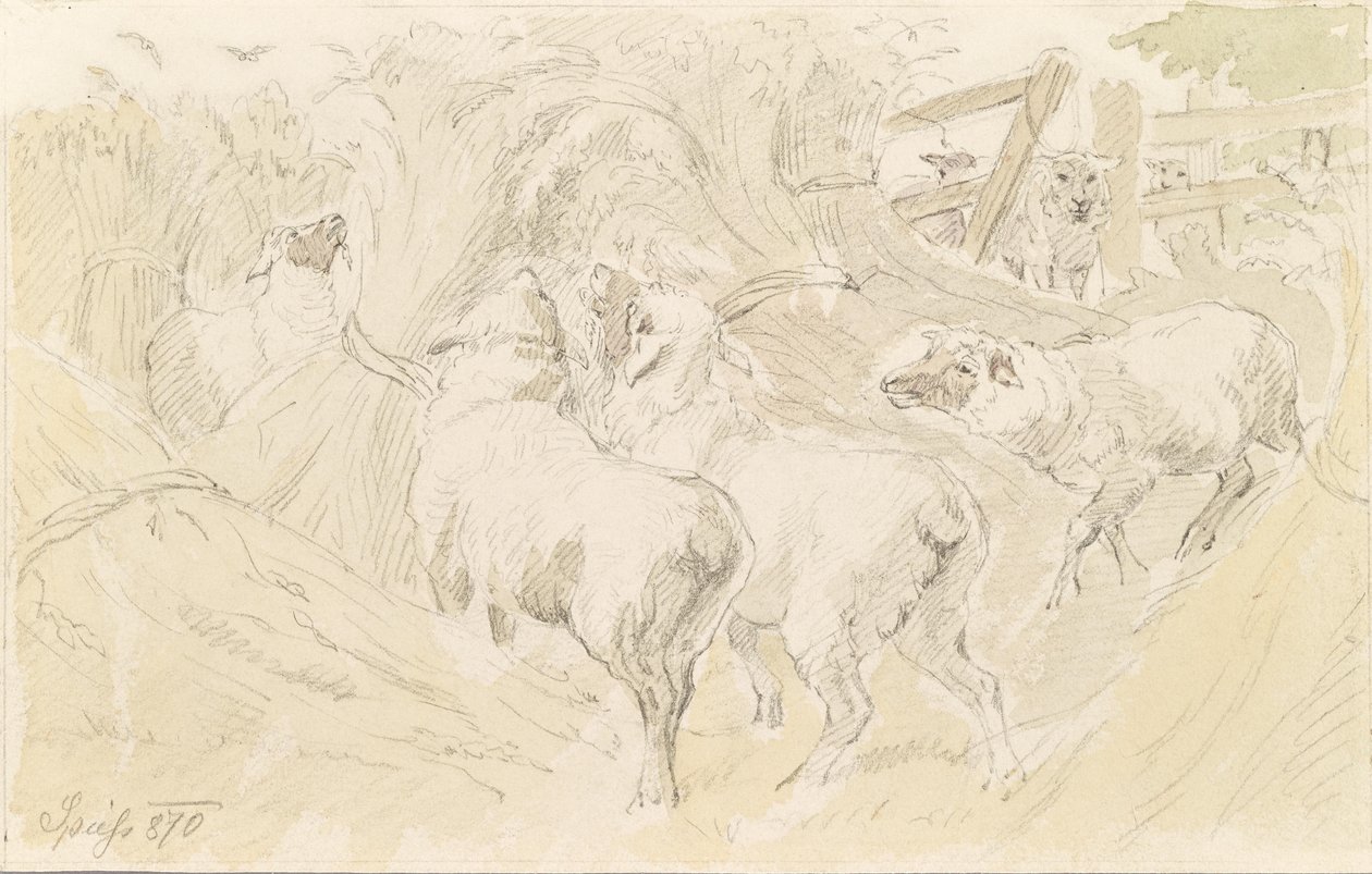 Moutons dans les céréales - August Spiess