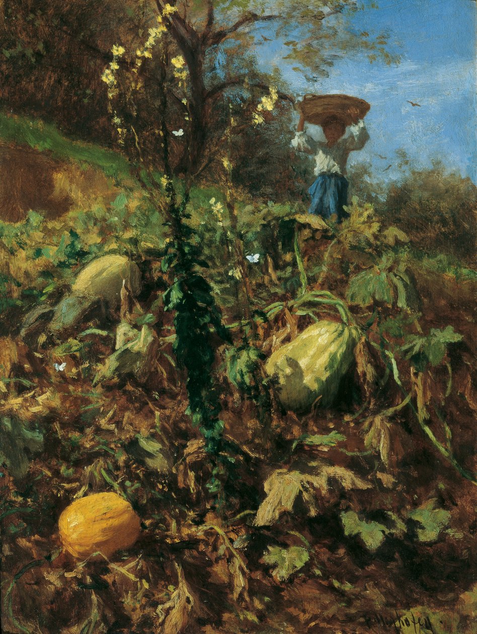Le Jardin de courges - August von Pettenkofen