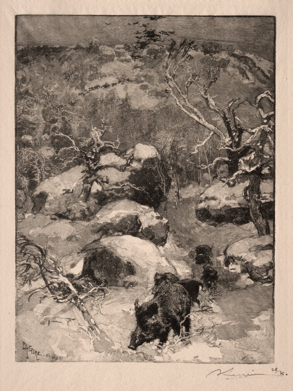 Roche Cuvier Chatillon - Auguste Louis Lepère