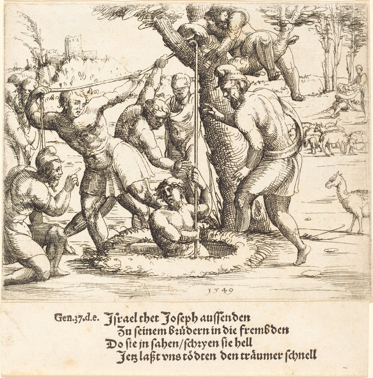 Joseph jeté dans le puits - Augustin Hirschvogel