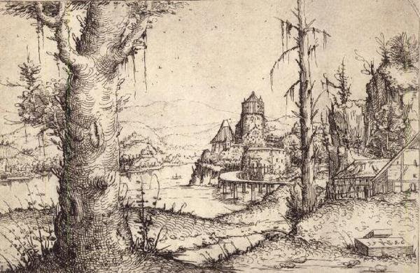 Paysage fluvial avec un arbre robuste - Augustin Hirschvogel