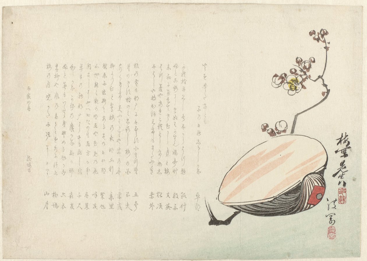 Coquillage - Ayaoka Yûshin