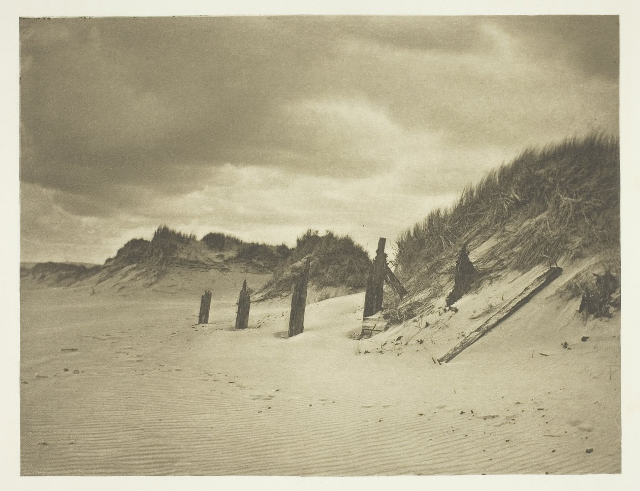 Dunes de sable - B. Gay Wilkinson
