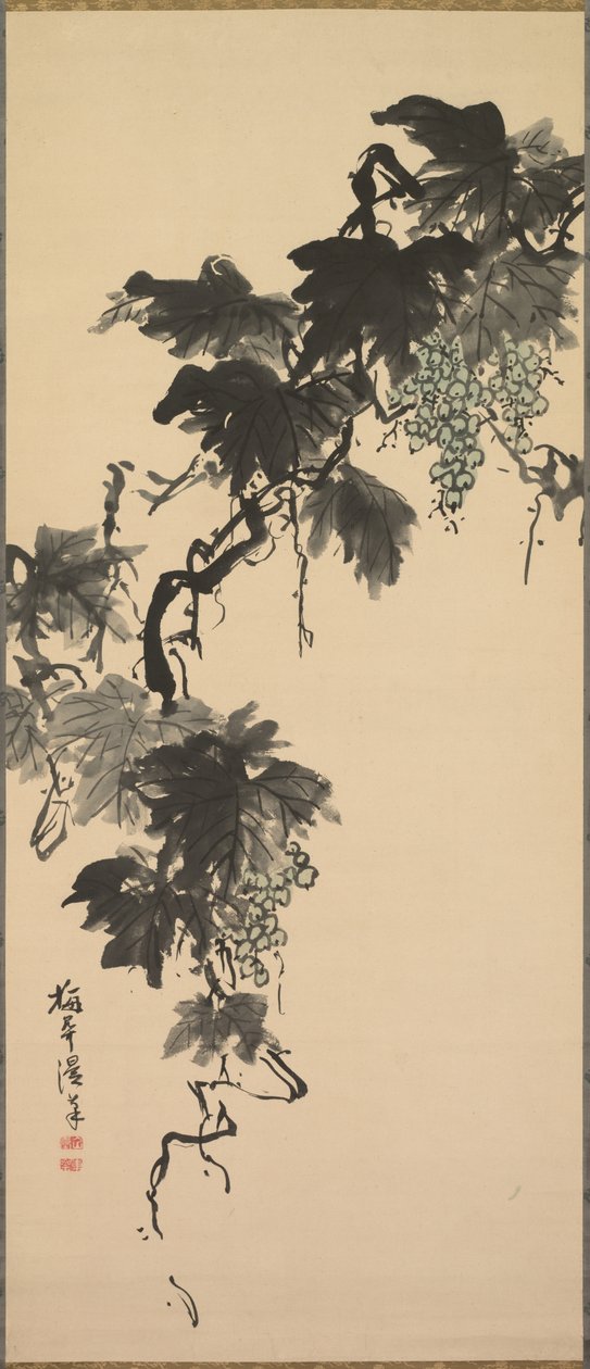 Raisins - Baikan Sugai