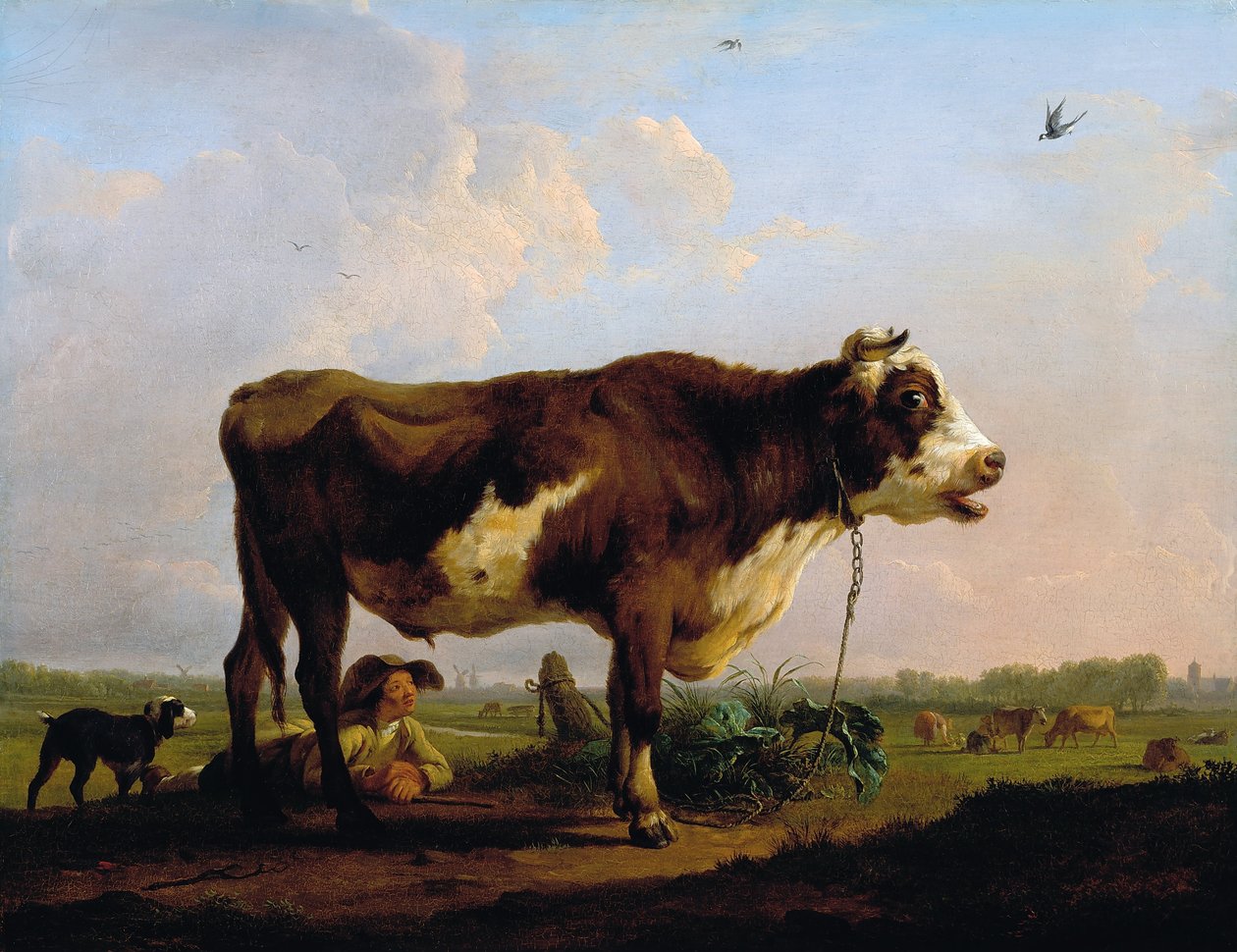 Un taureau - Balthasar Paul Ommeganck
