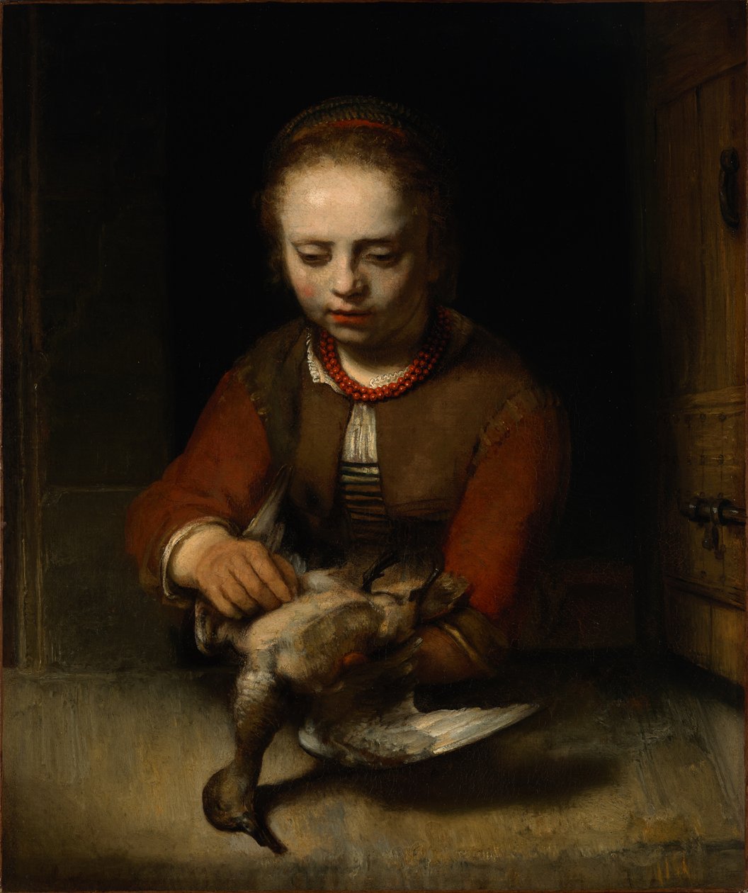 Jeune Fille Plumant un Canard - Barent Fabritius