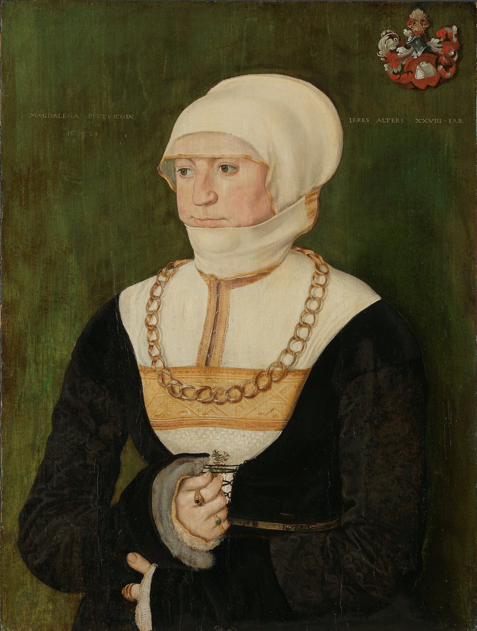 Portrait de Magdalena Pittrichin, 1528 - Barthel Beham