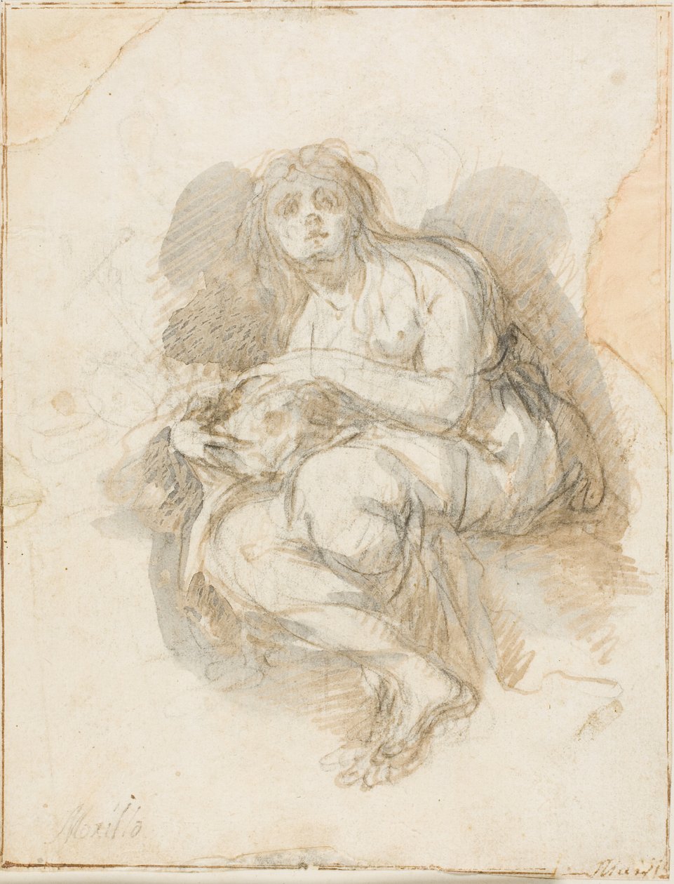 Sainte femme tenant un crâne - Bartolomé Esteban Murillo