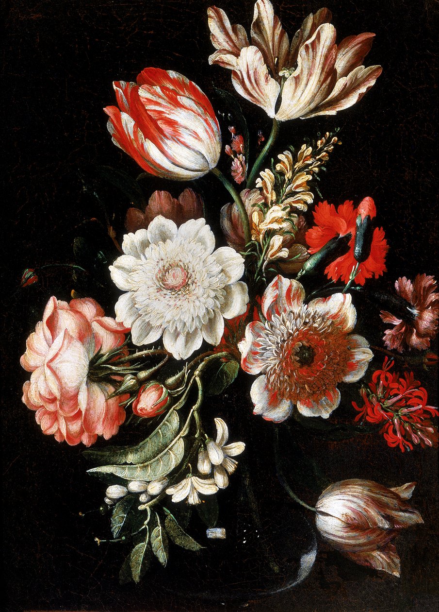 Fleurs - Bartolomeo Ligozzi