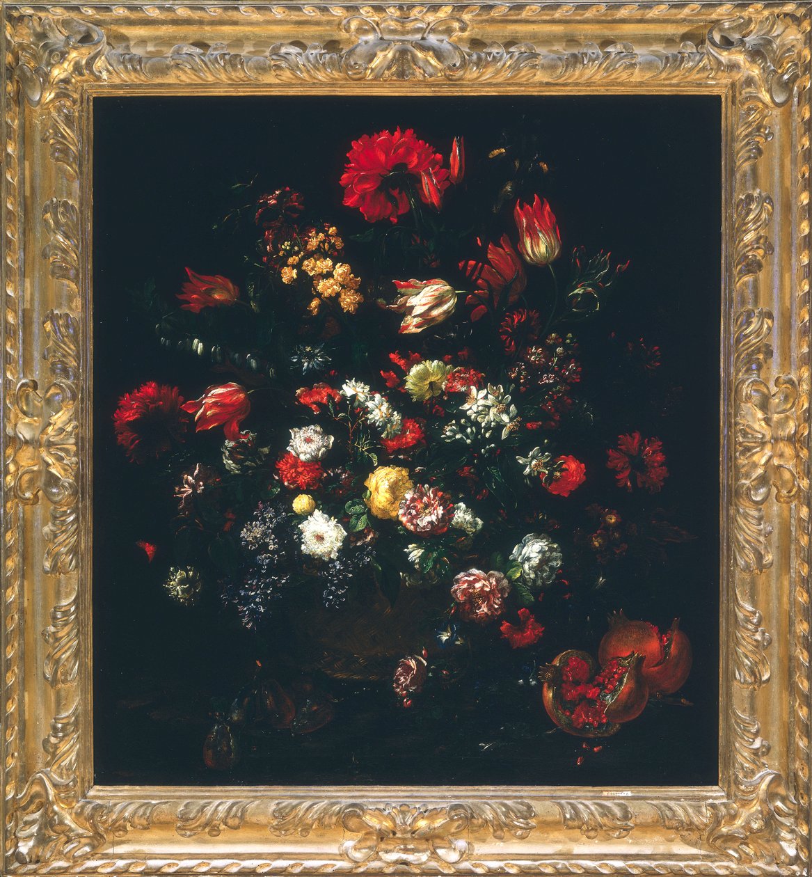 Nature morte - Bartolomeo Bimbi