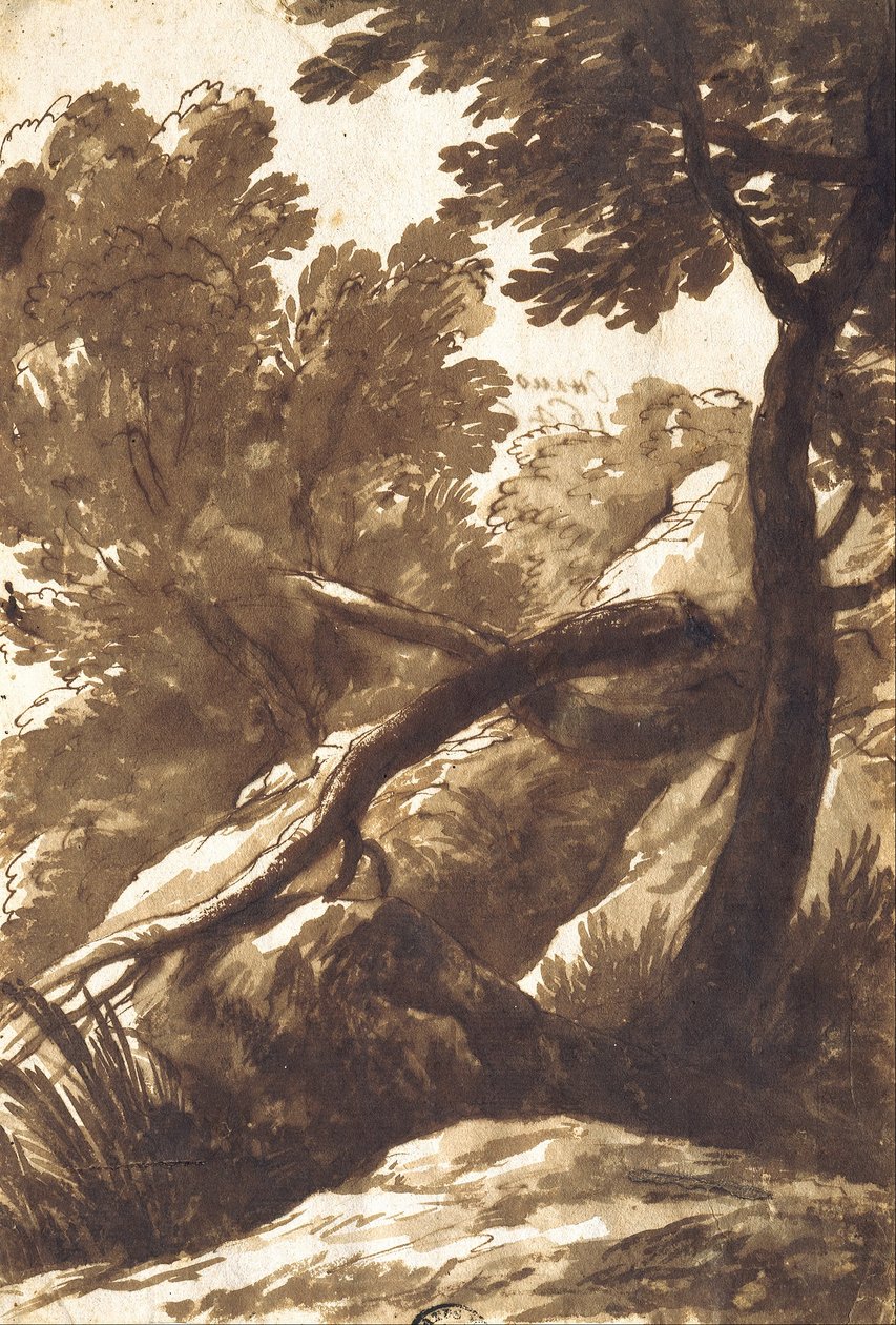 Paysage boisé - Bartolomeo Torregiani