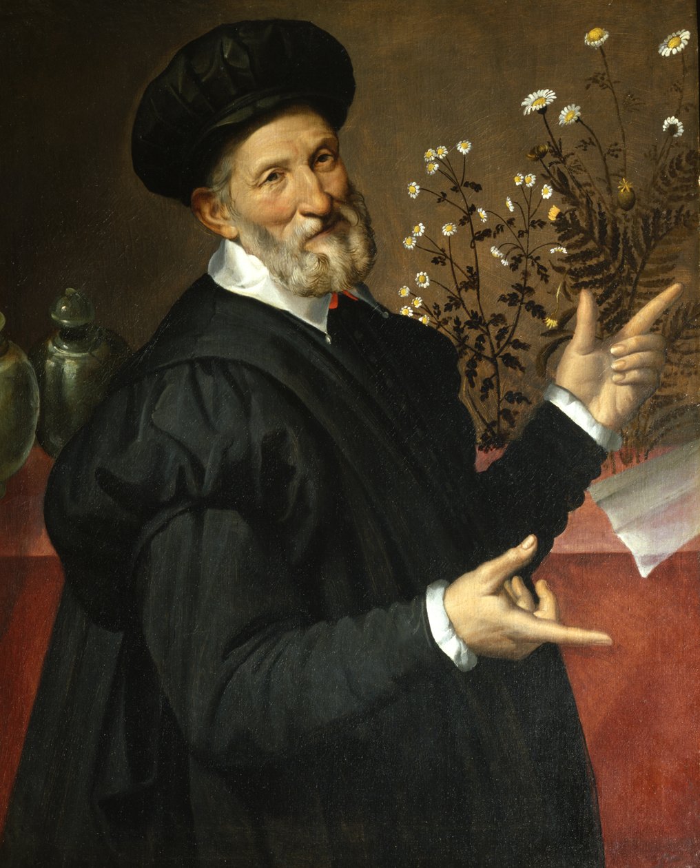 Le botaniste - Bartolommeo Passerotti