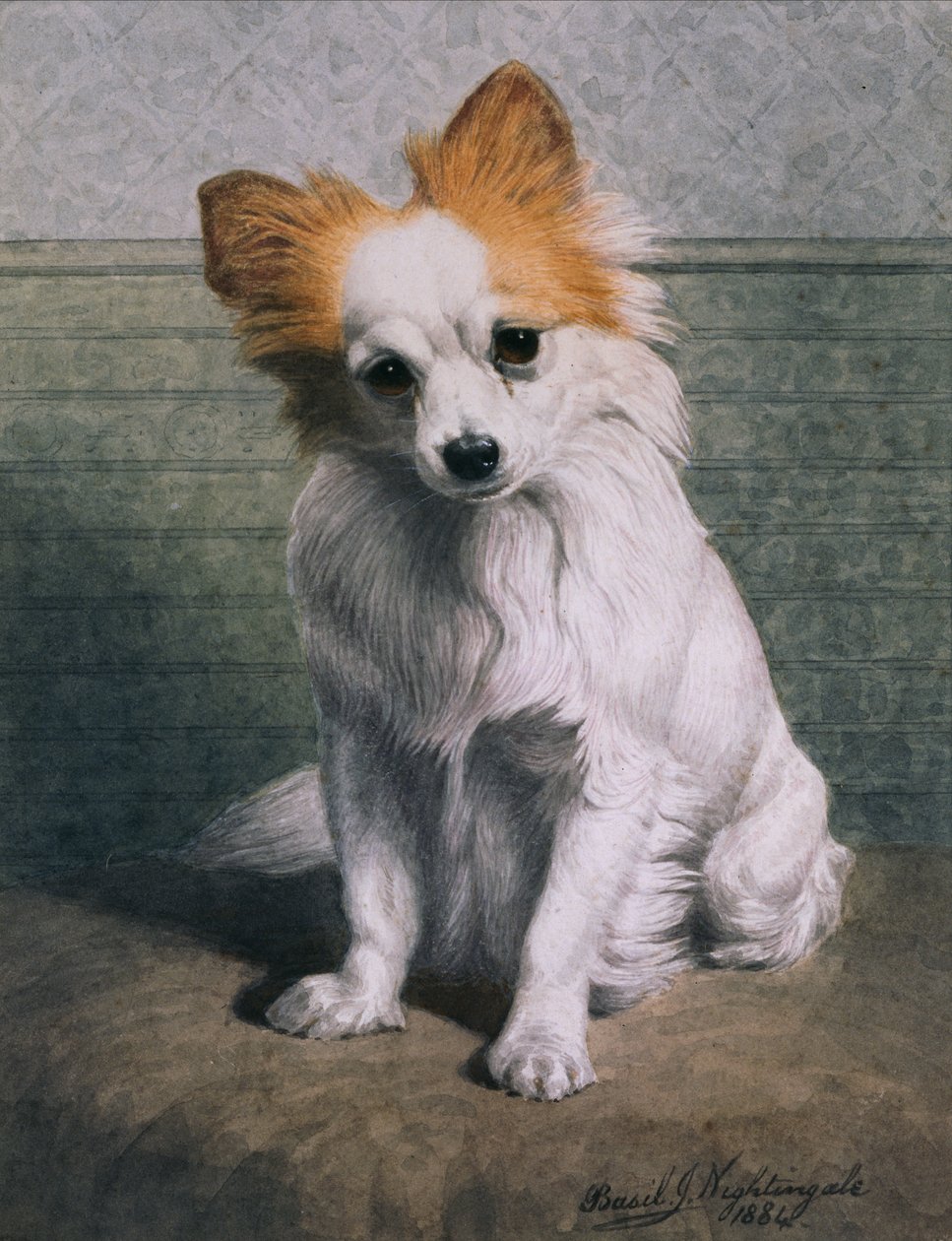 Chien Jouet - Basil J. Nightingale