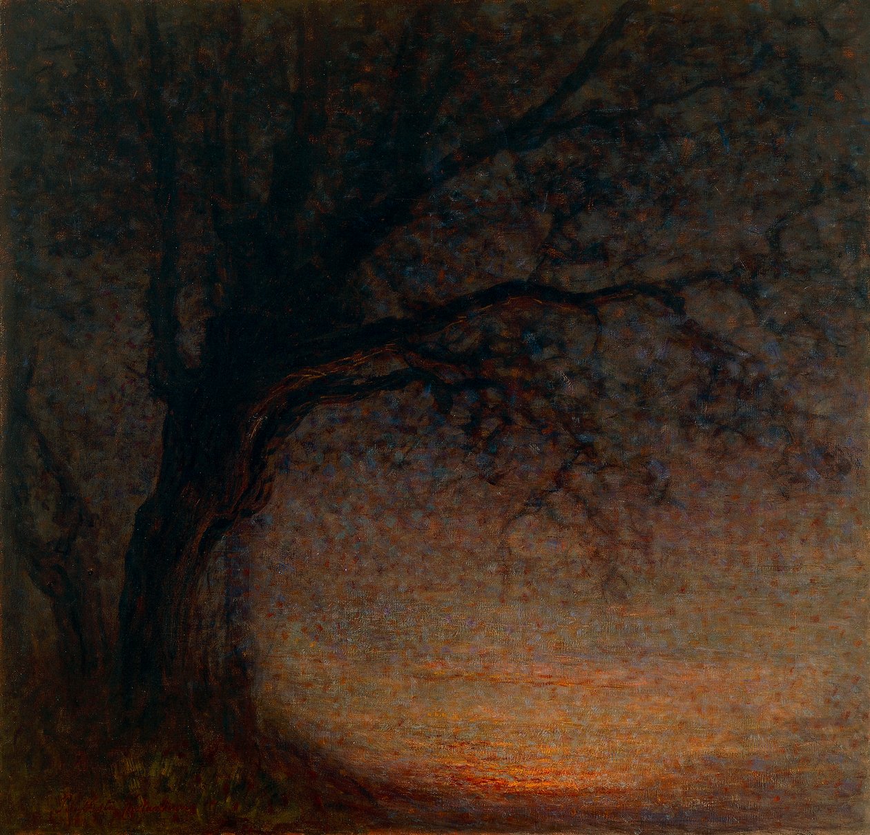 Arbre mort - Battista Constantini