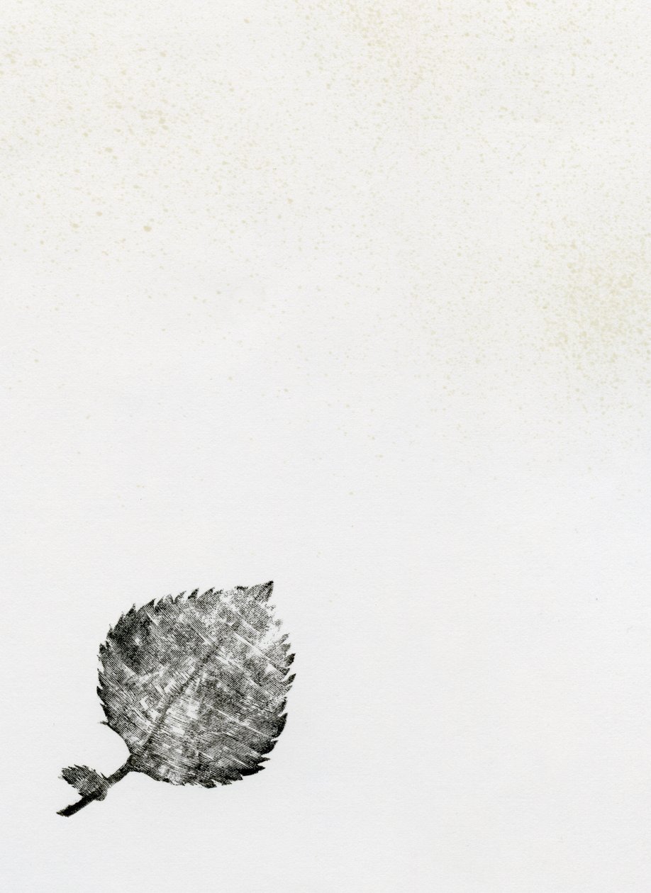 Feuille {Poussière de fée}, 2014 - Bella Larsson