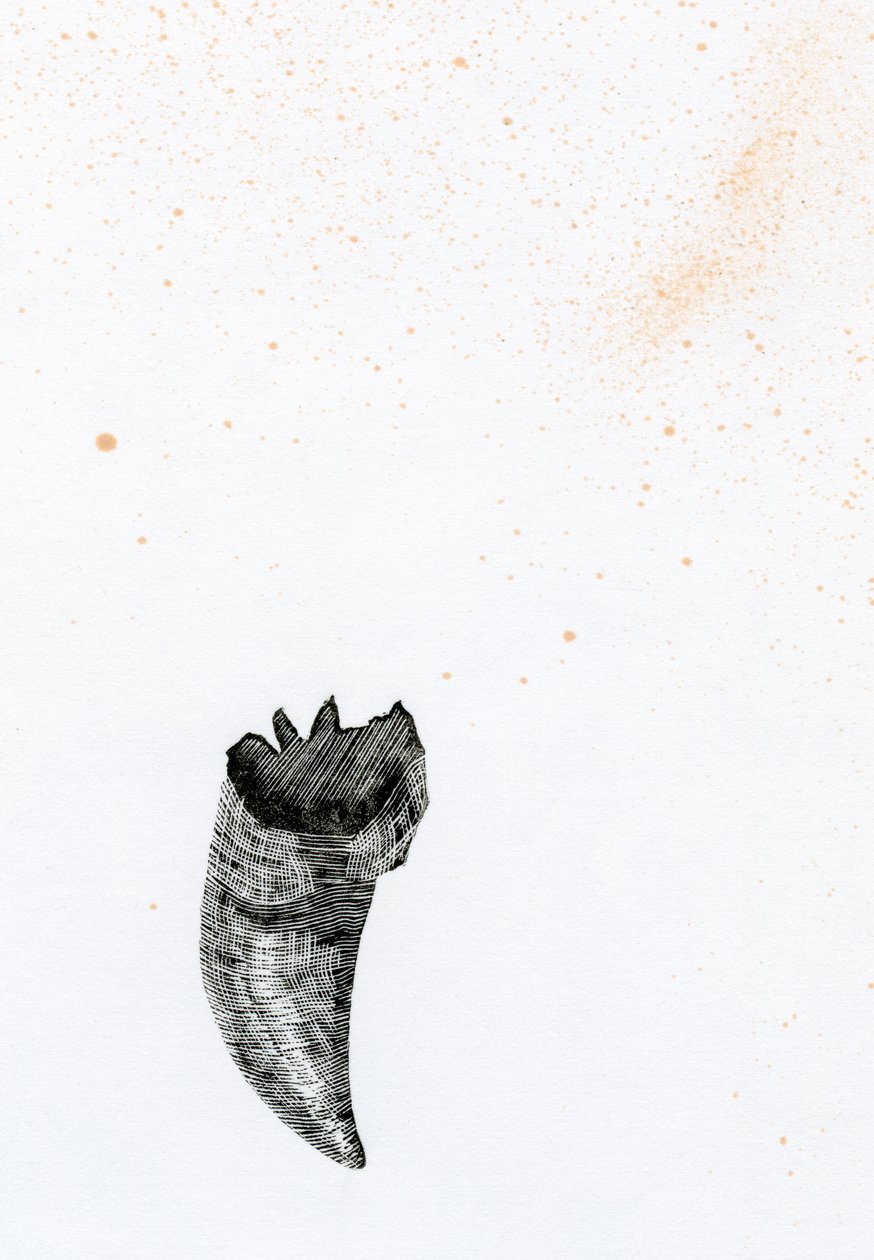 Tooth {Fay-erie Dust}, 2014 - Bella Larsson