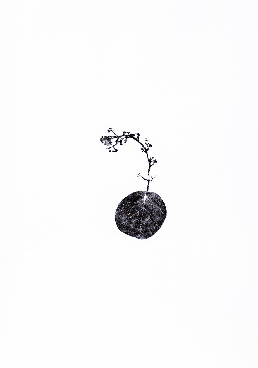 Remorqueur, 2014 - Bella Larsson