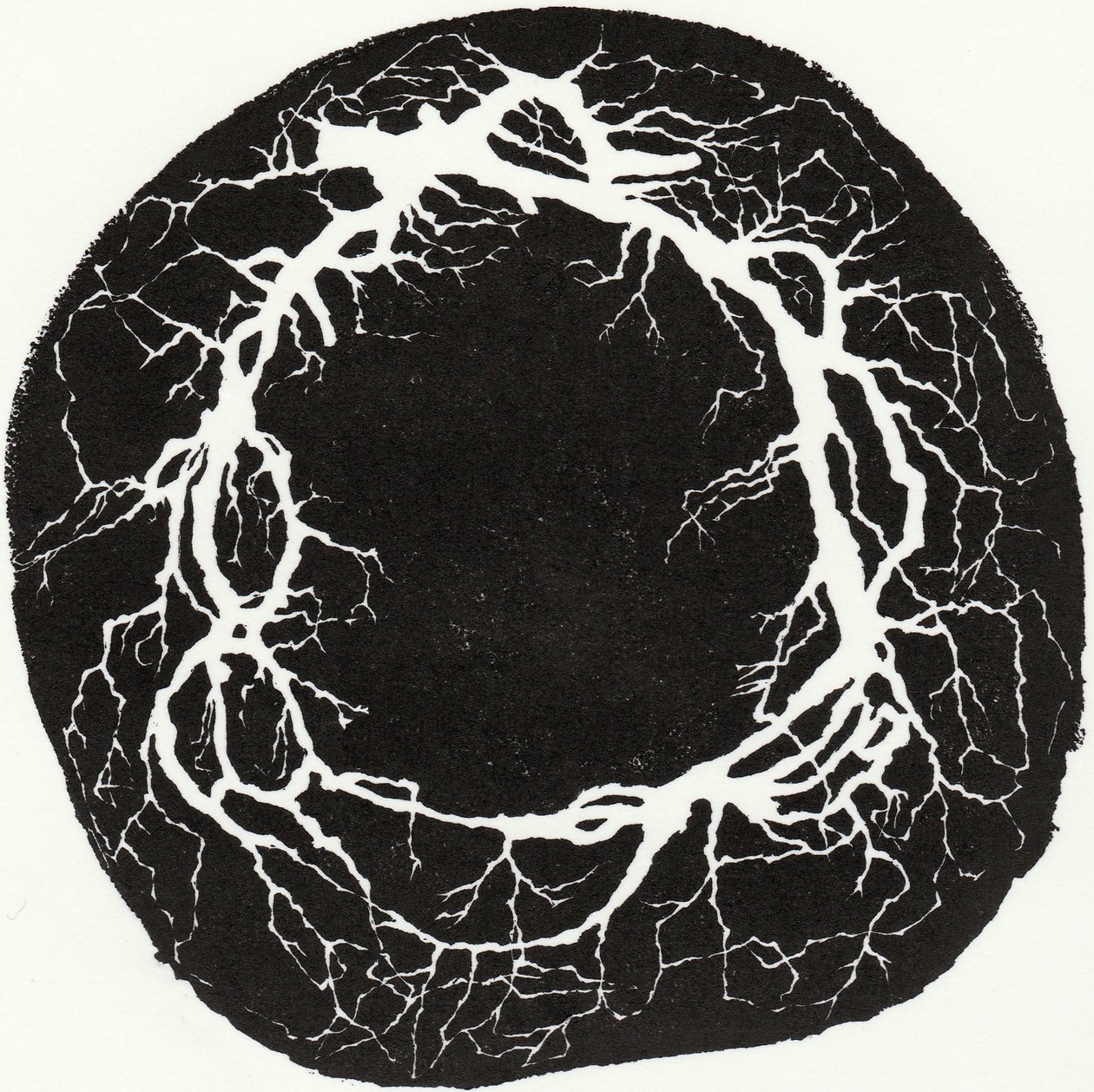 Couronne de racines, 2019 - Bella Larsson