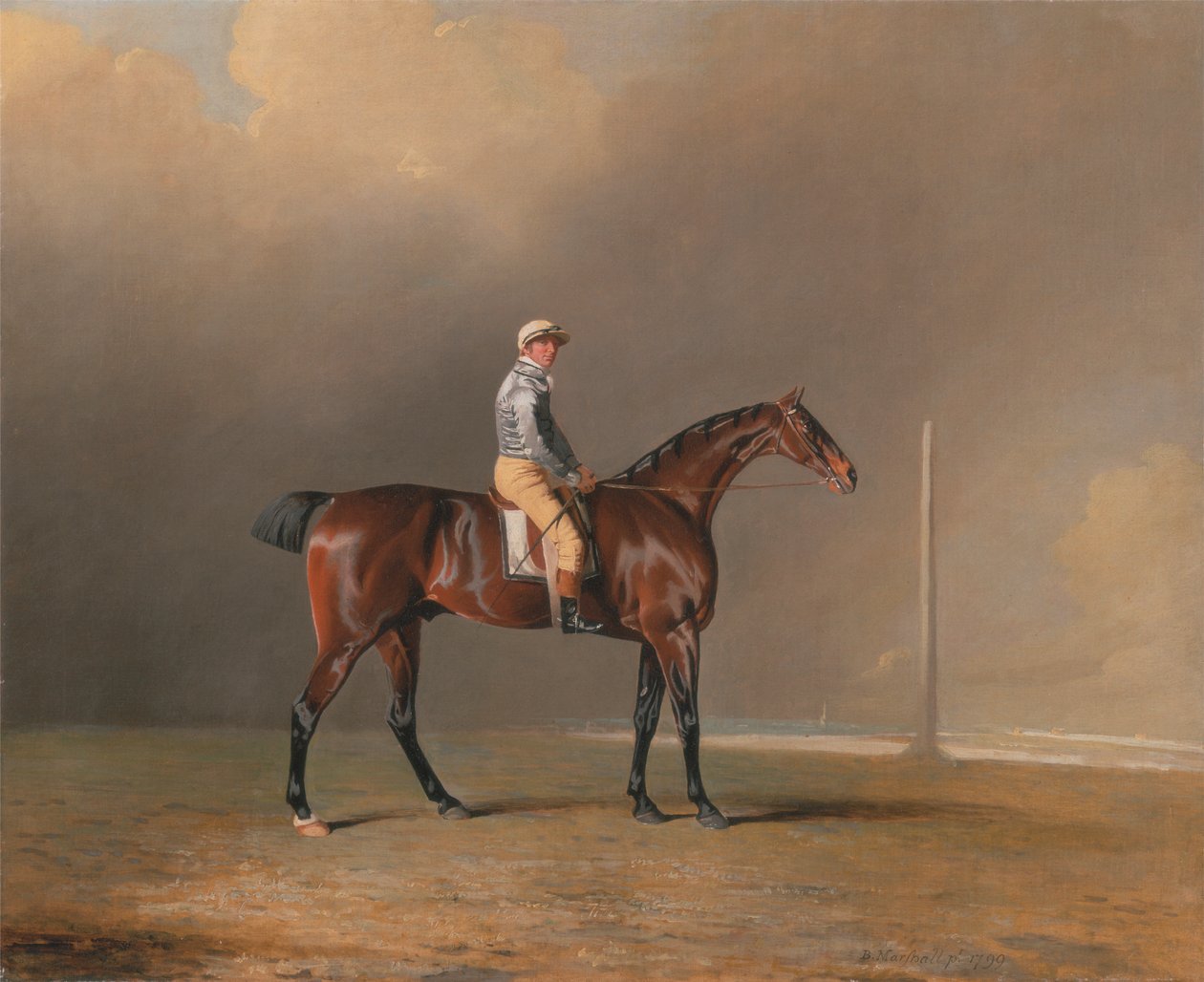 Diamond, avec Dennis Fitzpatrick en selle - Benjamin Marshall