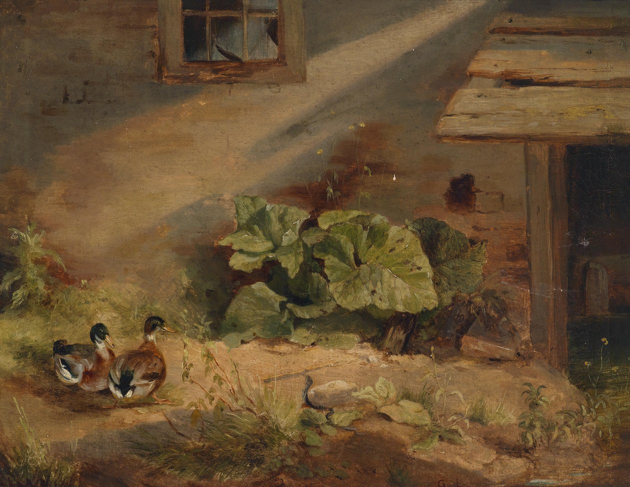 Canards à la ferme - Benno Adam