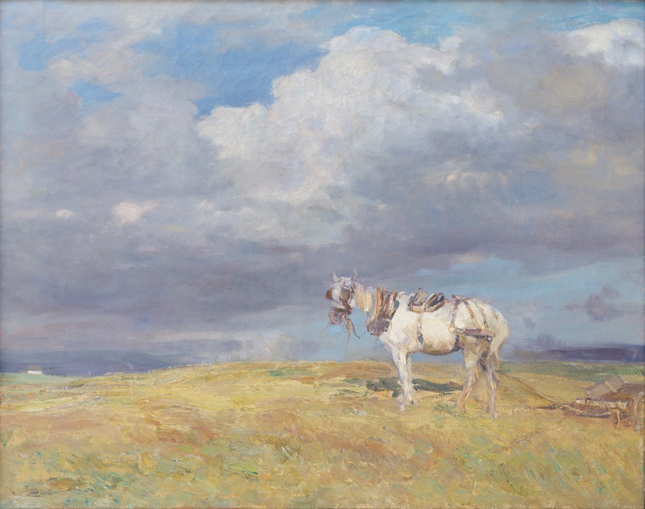 Cheval blanc, vers 1910 - Beppe Ciardi