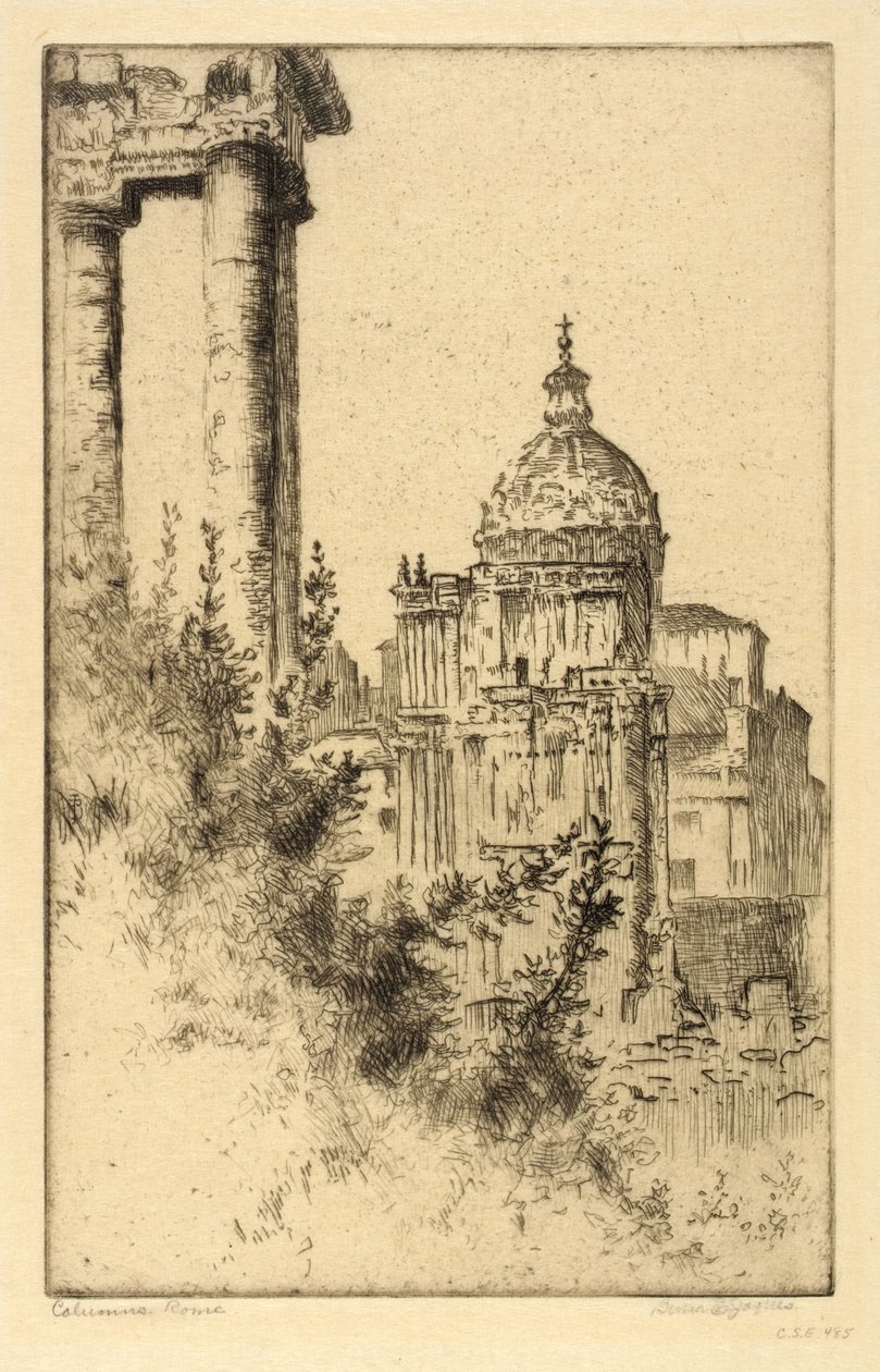 Colonnes, Forum romain - Bertha E. Jaques
