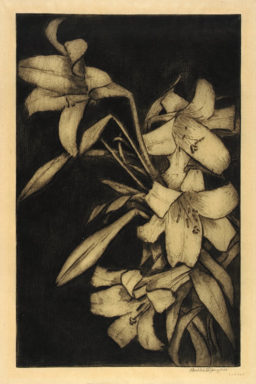 Pâques, ou Madone, Lys - Bertha E. Jaques
