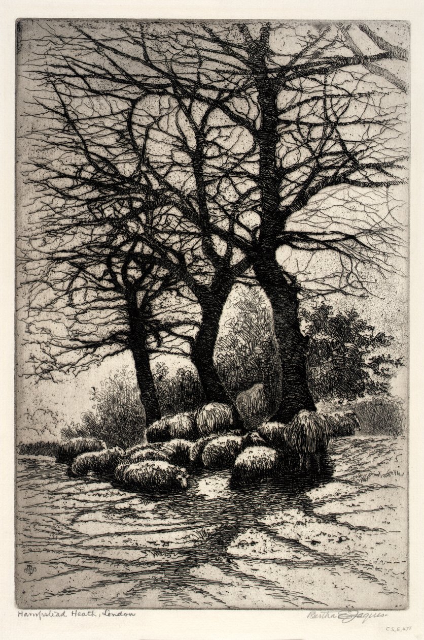 Hampstead Heath, Londres - Bertha E. Jaques