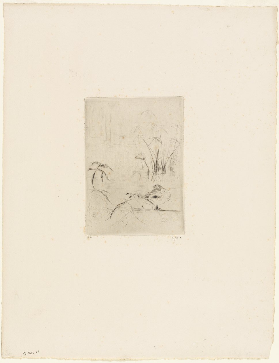 Le canard - Berthe Morisot