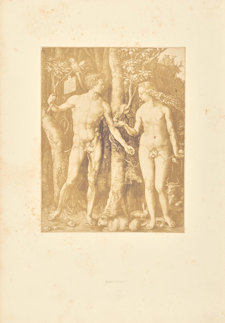 Adam et Ève - Bisson Frères