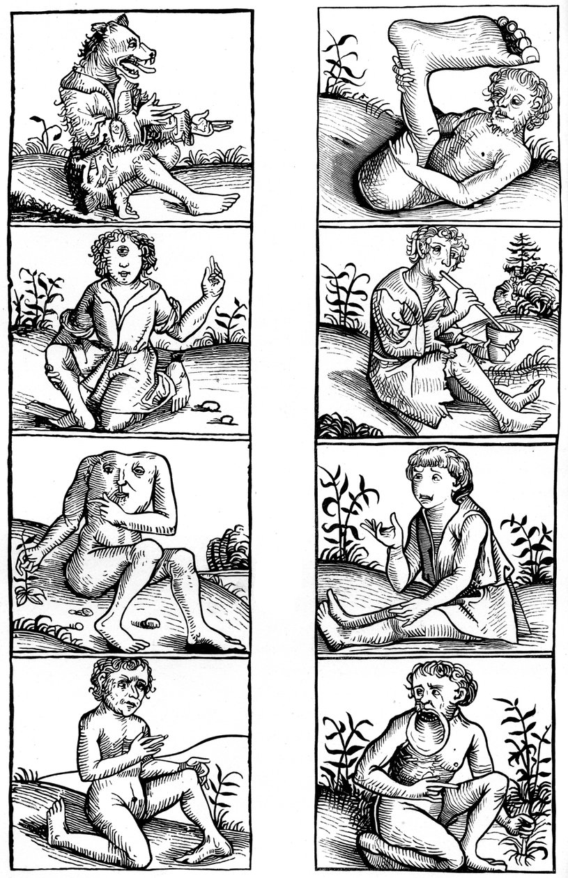 Croyances et superstitions populaires - Bisson and Cottard