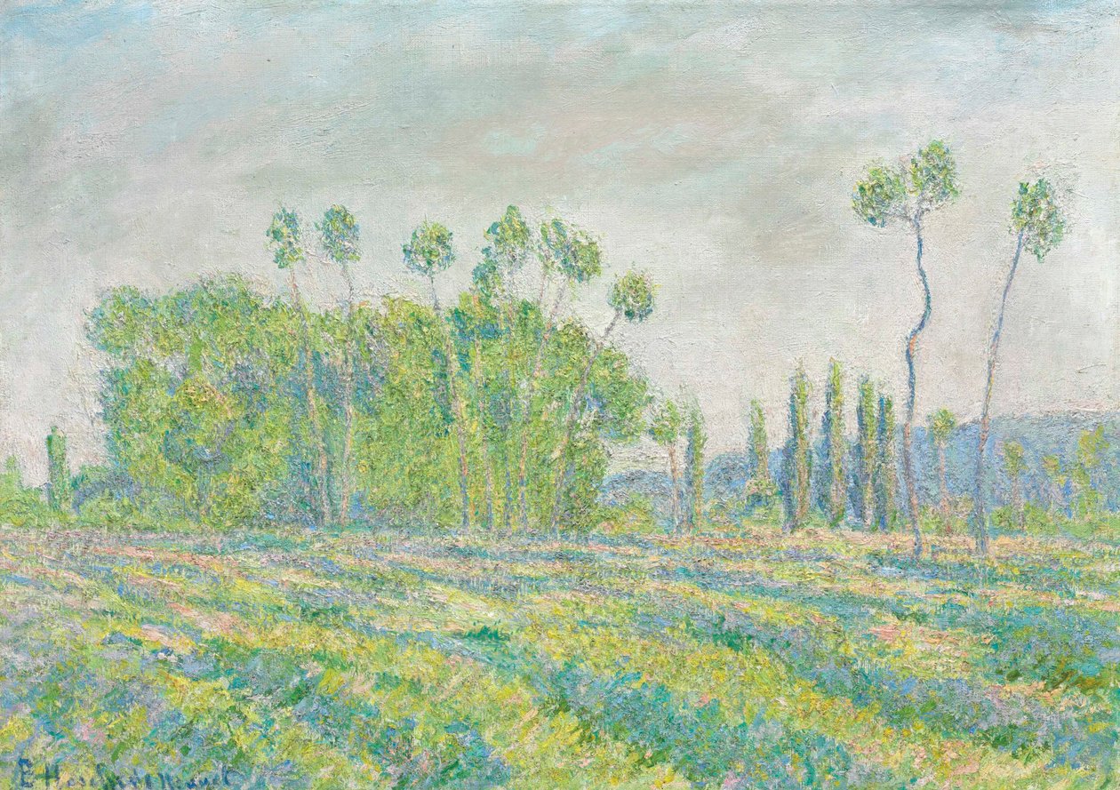 Français :  Giverny, Peupliers des Ajoux - Blanche Hoschede Monet
