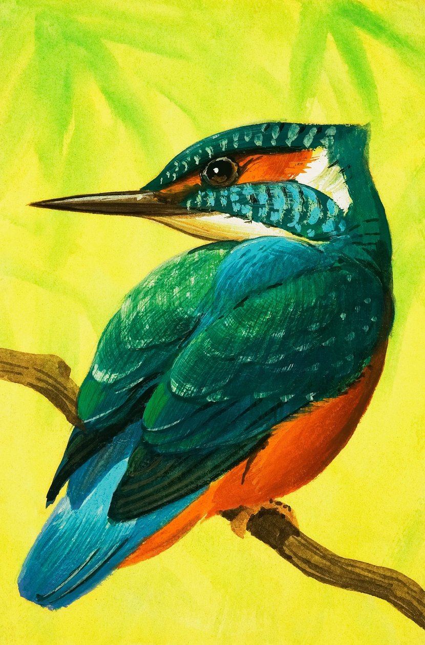 Kingfisher. - Bob Hersey