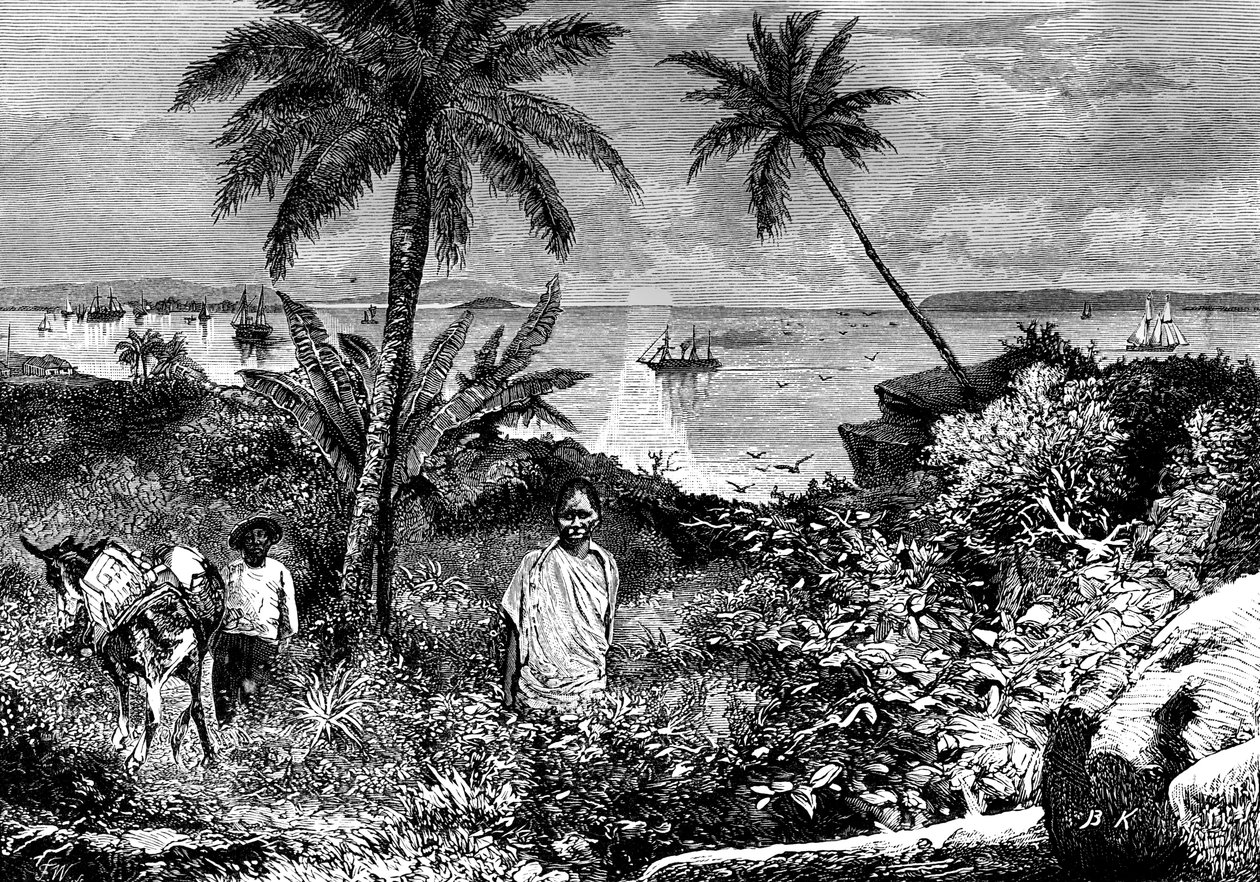 La baie de Panama - Bohuslav Kroupa