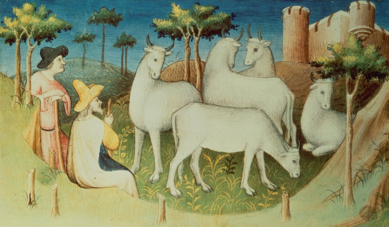 Ms Fr 2810 f.13v, Marco Polo en voyage, du 