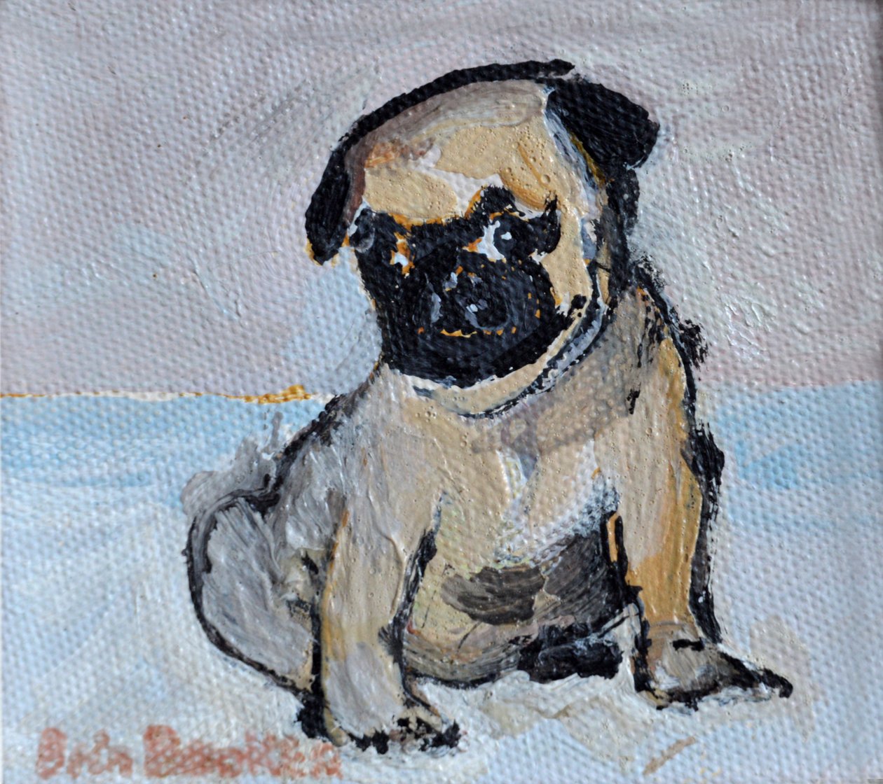 Vincent, le chiot carlin - Brenda Brin Booker