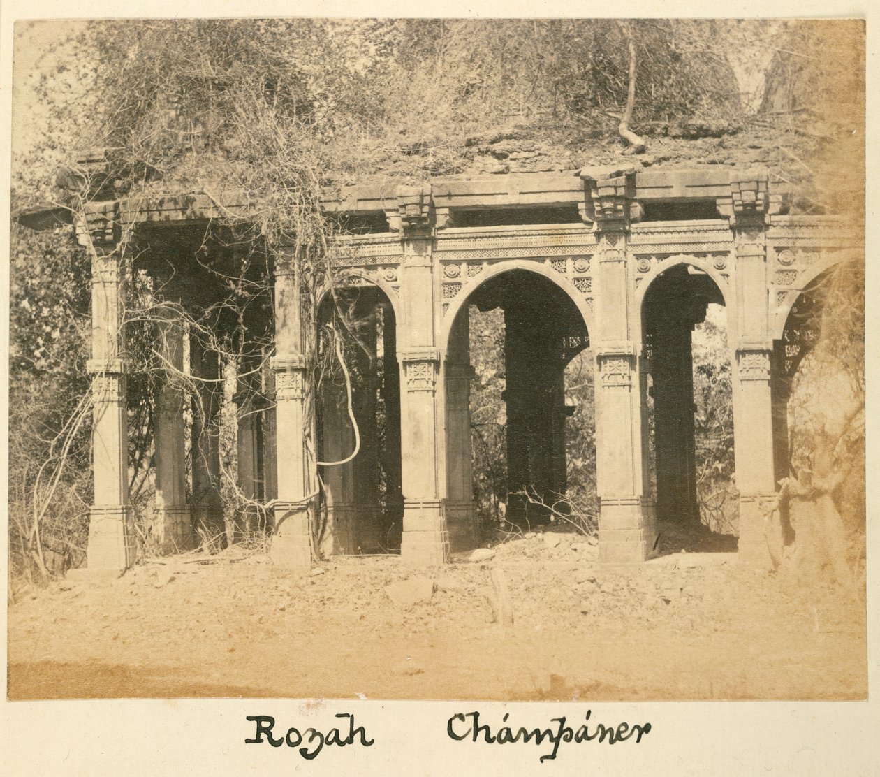 Rozah, Champaner, vers 1875 - British Photographer