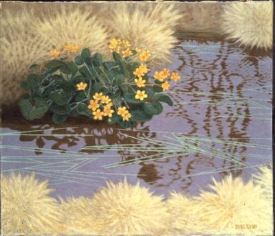 Caltha palustris - Bror Lindh