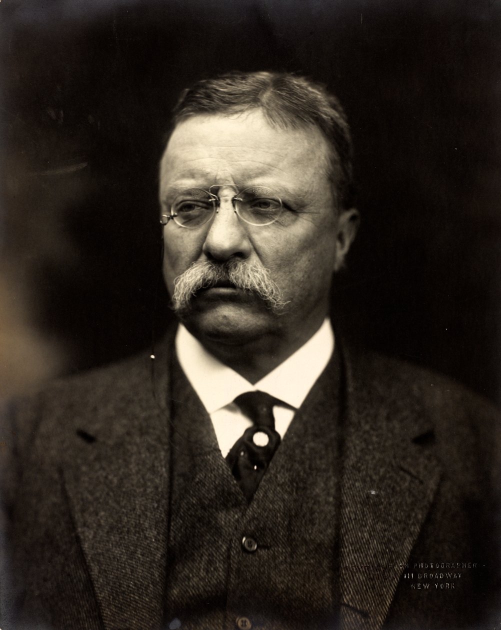 Theodore Roosevelt, c.1915 - Brothers Pach