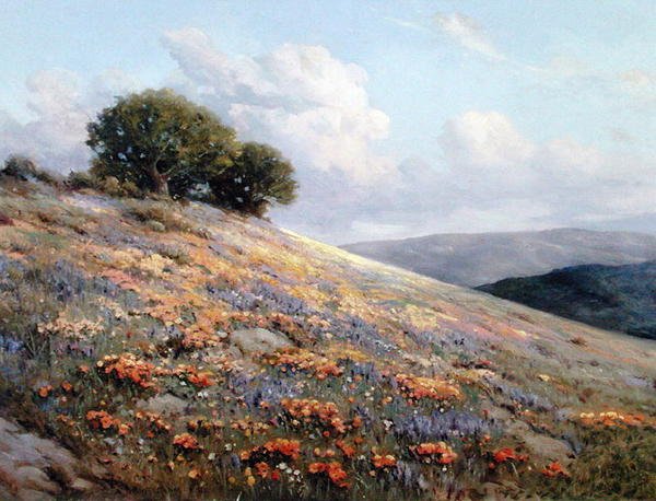 Floraison d