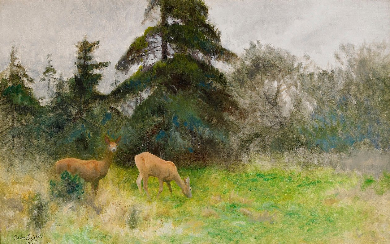 Chevreuil dans la verdure estivale - Bruno Andreas Liljefors