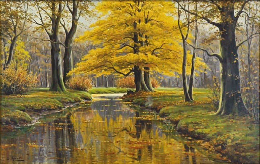 Forêt d