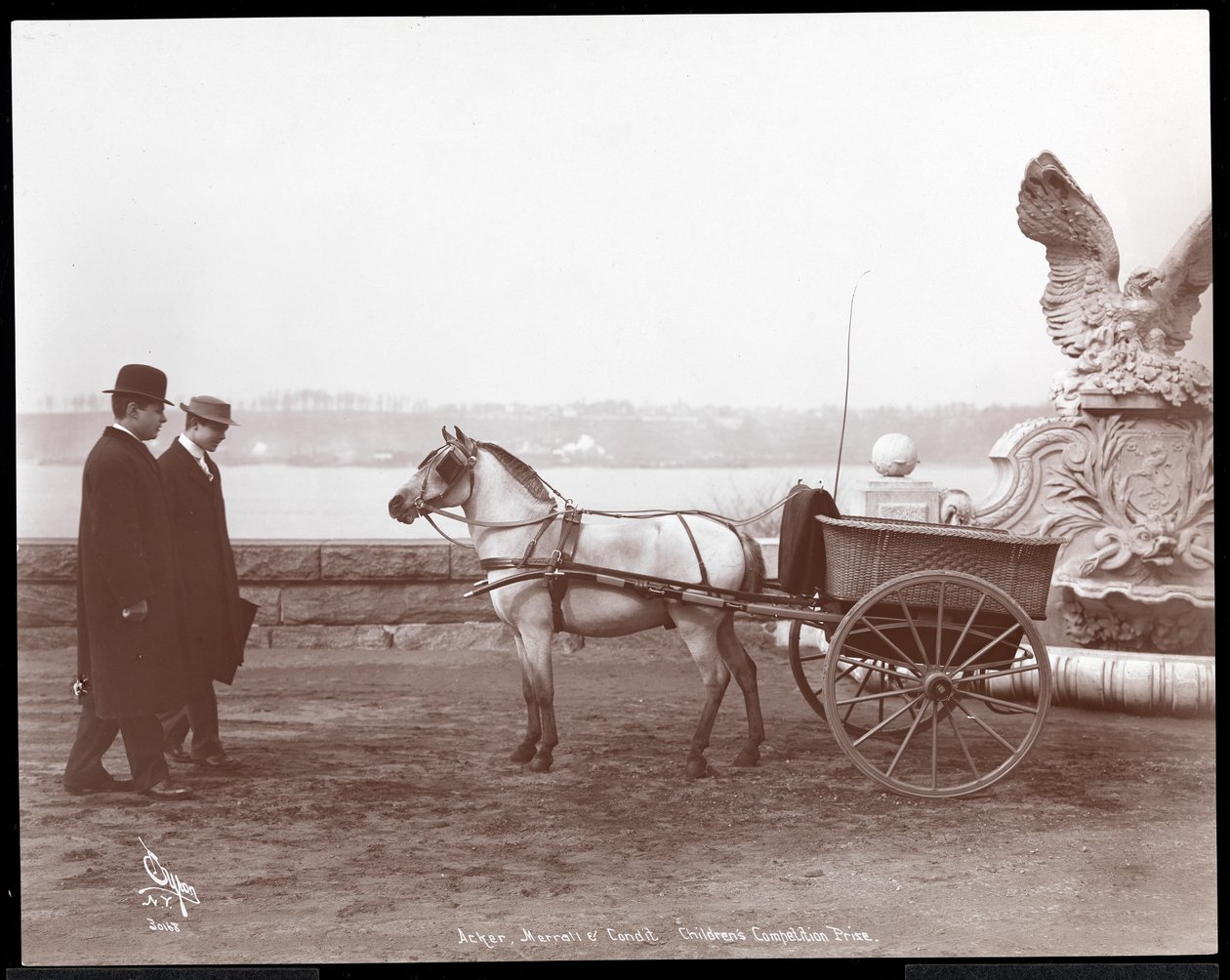 Deux hommes, poney et charrette, New York, 1910 ou 1911 (tirage à la gélatine argentique) - Byron Company