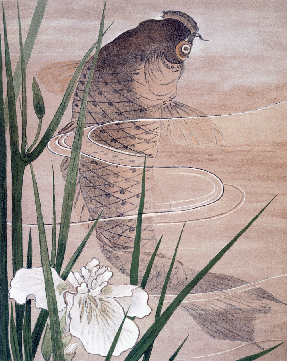 Poisson - C. F. Kell