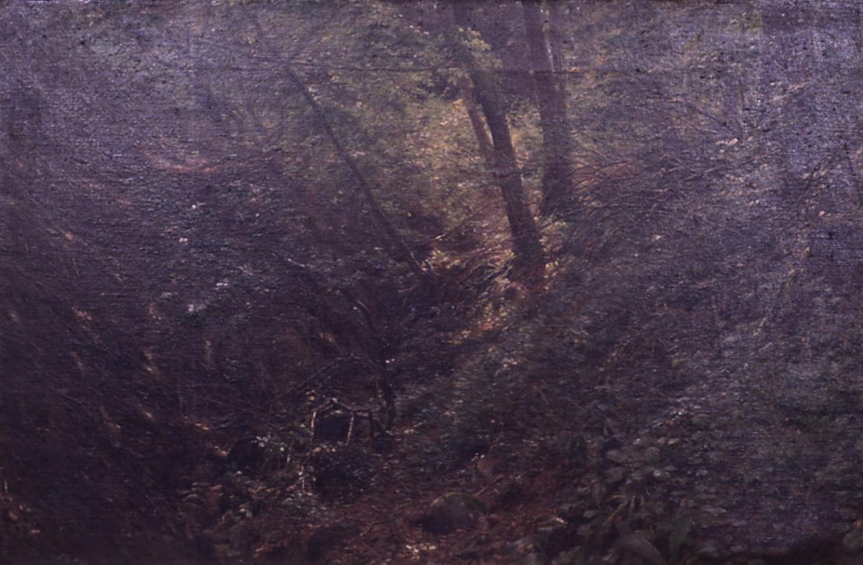 Printemps dans une gorge - C.A. Kølle