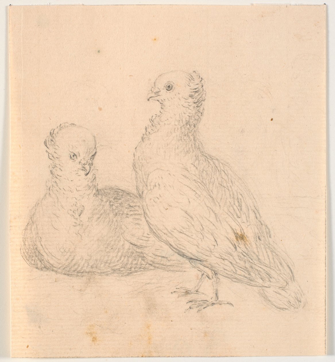 Deux pigeons - C.A. Lorentzen