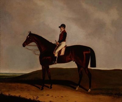 Un cheval de course bai - C. Markham