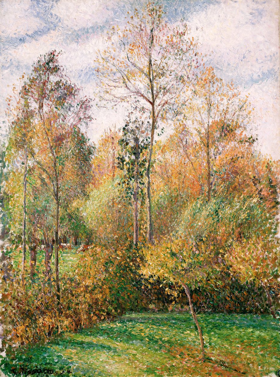 Automne, Peupliers, Éragny - Camille Jacob Pissarro